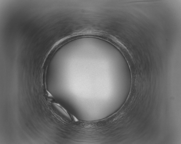 X0000081591222200702121505