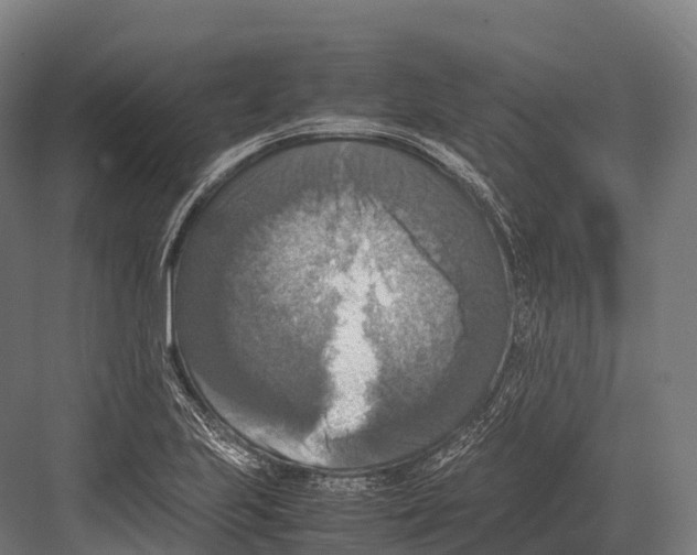 X0000081591223200702121505