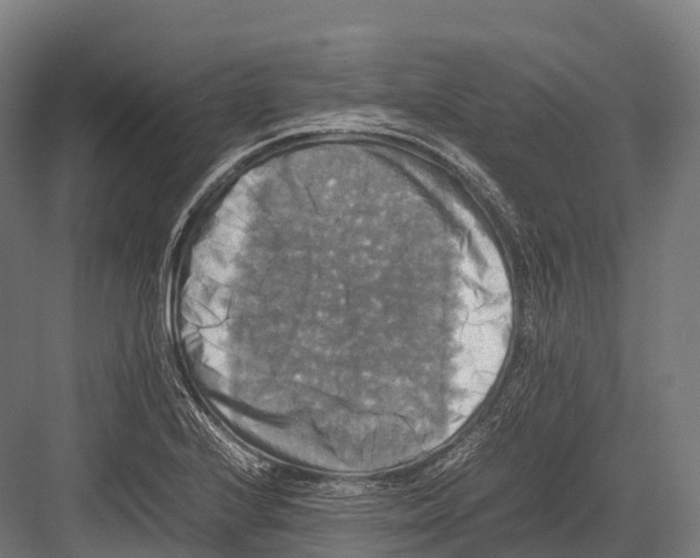 X0000081591224200702121505