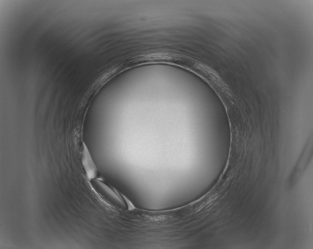 X0000081591225200702121505