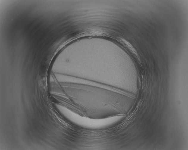 X0000081591226200702121505