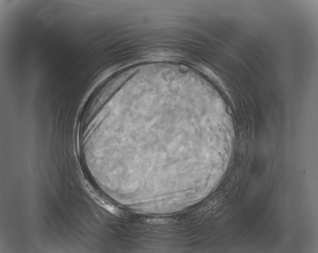 X0000081591227200702121505