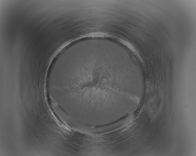 X0000081591229200702121505