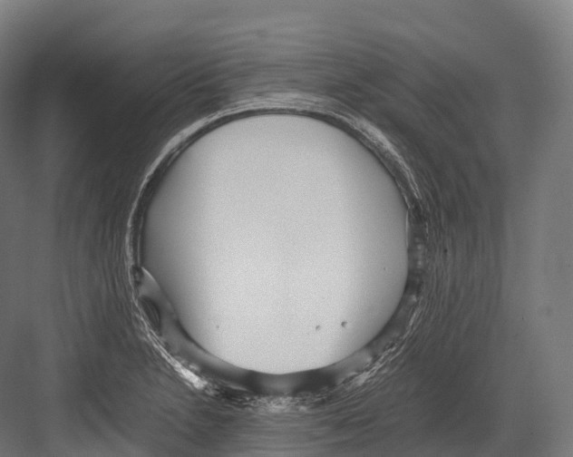 X0000081591230200702121505