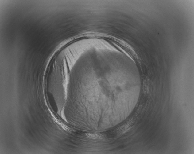 X0000081591231200702121505