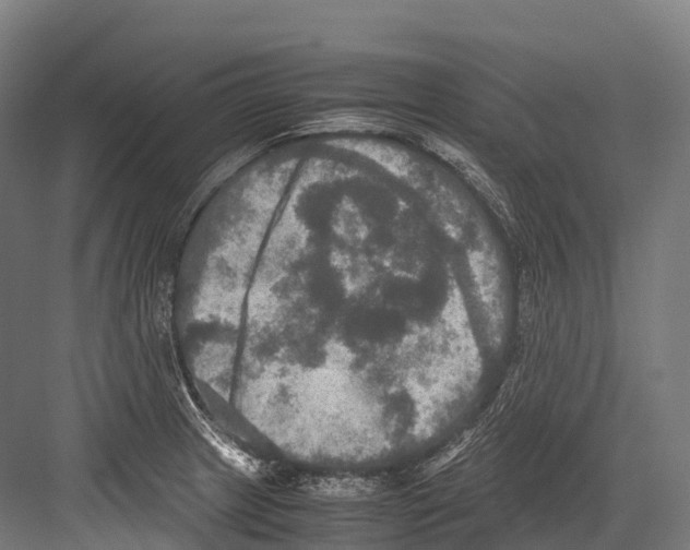 X0000081591233200702121505