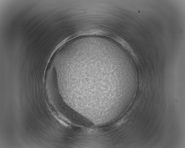 X0000081591234200702121505