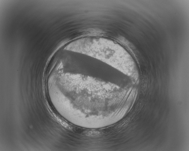 X0000081591235200702121505