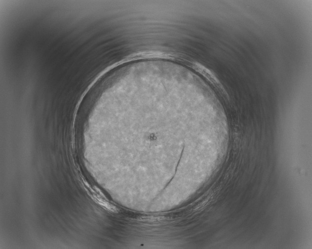 X0000081591236200702121505