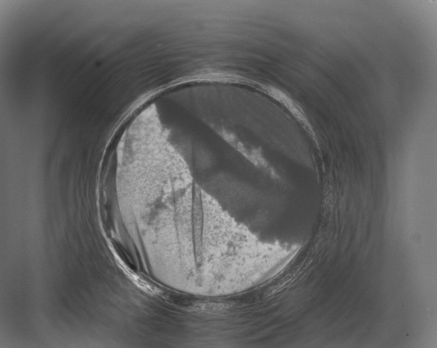 X0000081591237200702121505