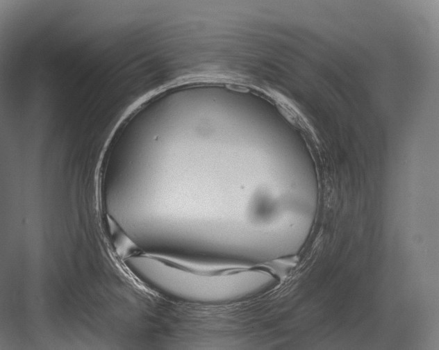 X0000081591238200702121505