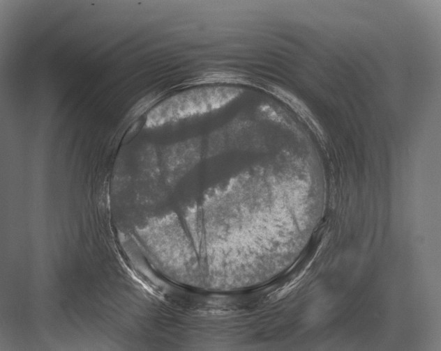 X0000081591241200702121505