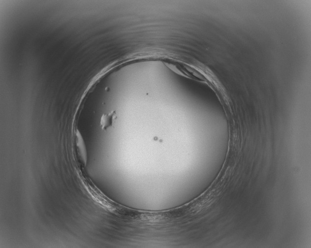 X0000081591242200702121505