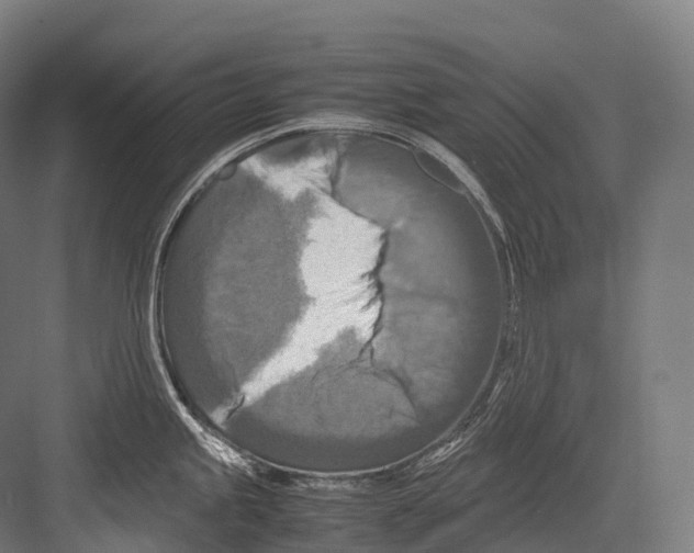 X0000081591245200702121505