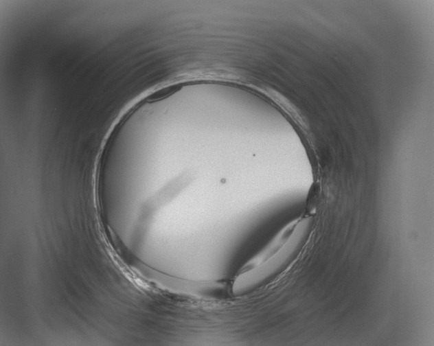 X0000081591246200702121505