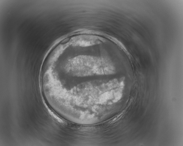 X0000081591247200702121505