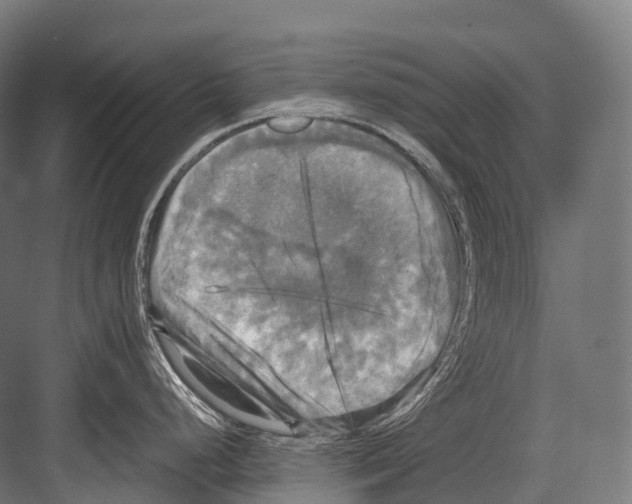 X0000081591248200702121505