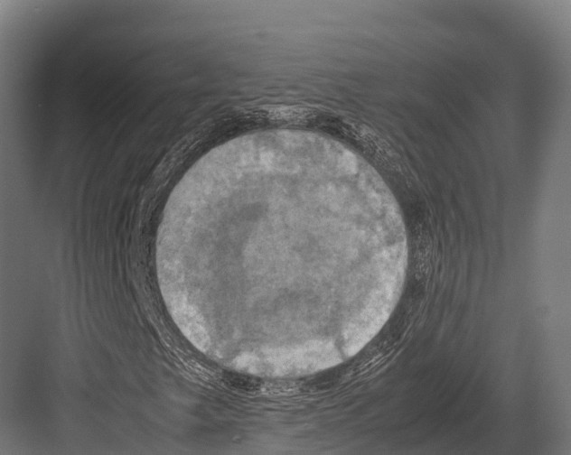 X0000081591249200702121505