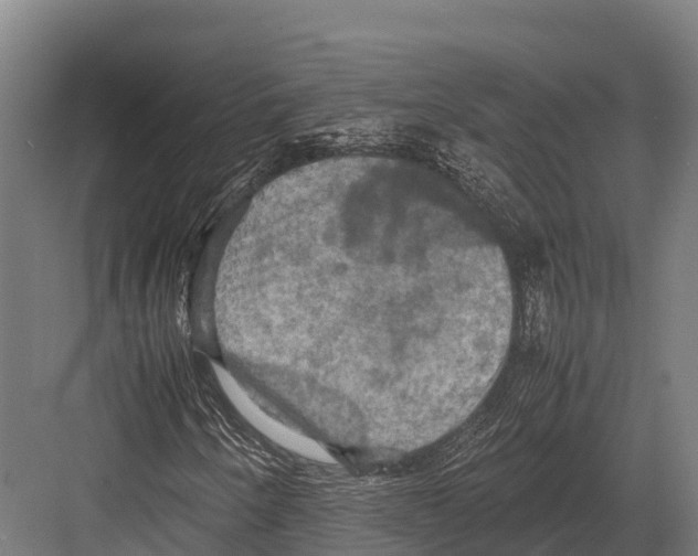 X0000081591250200702121505