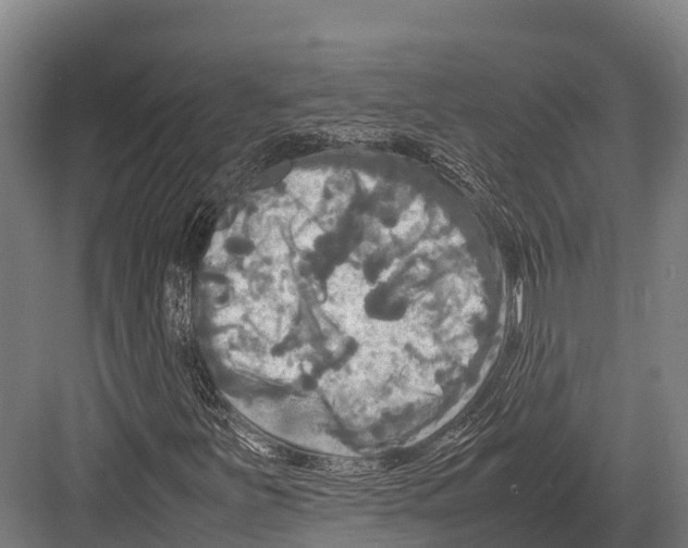 X0000081591251200702121505