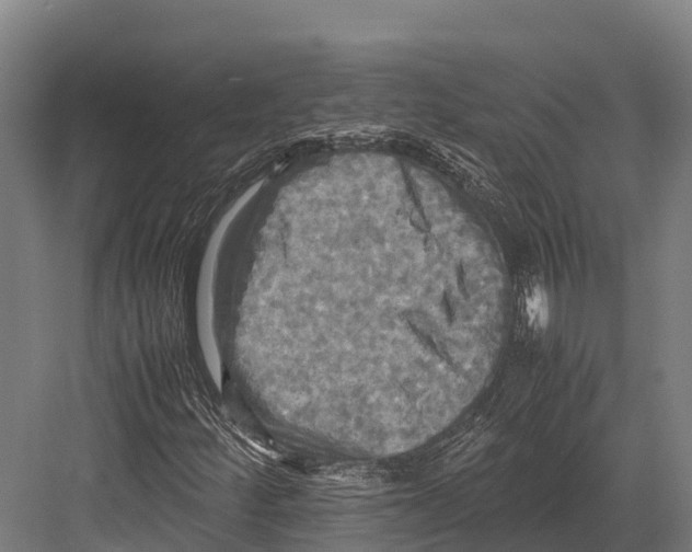 X0000081591252200702121505