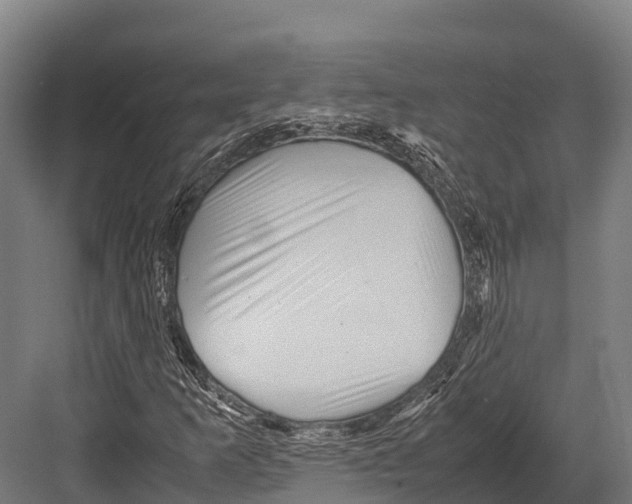 X0000081591253200702121505