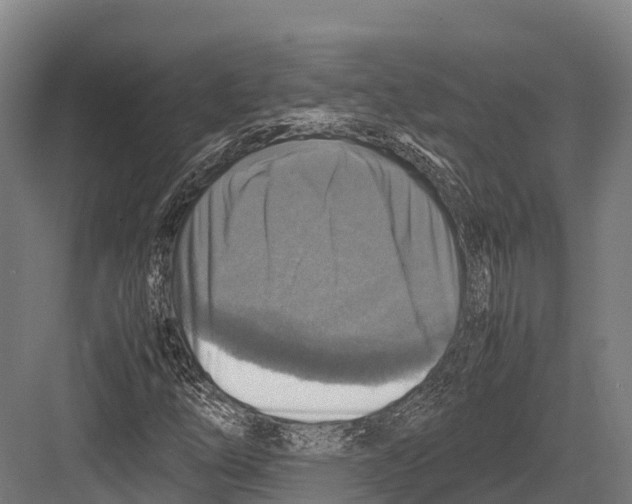 X0000081591254200702121505