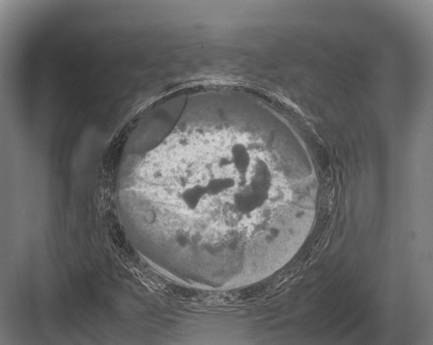 X0000081591255200702121505