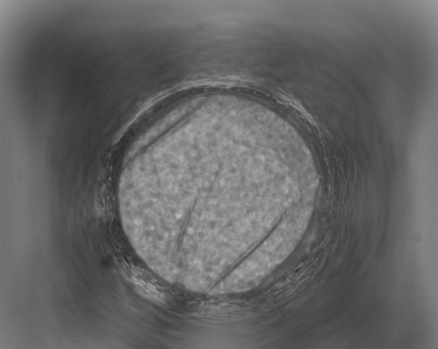 X0000081591256200702121505