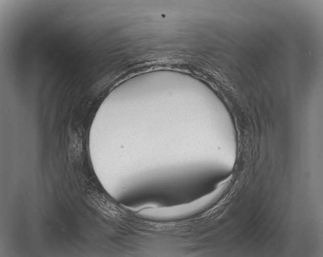 X0000081591257200702121505