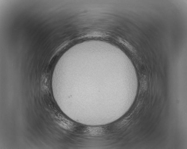 X0000081591258200702121505