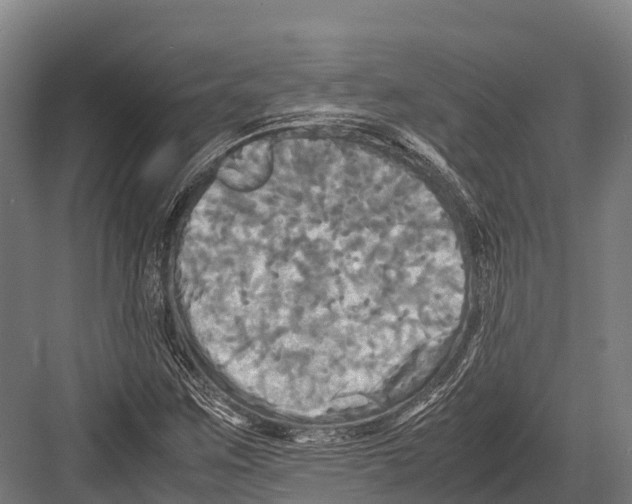 X0000081591259200702121504