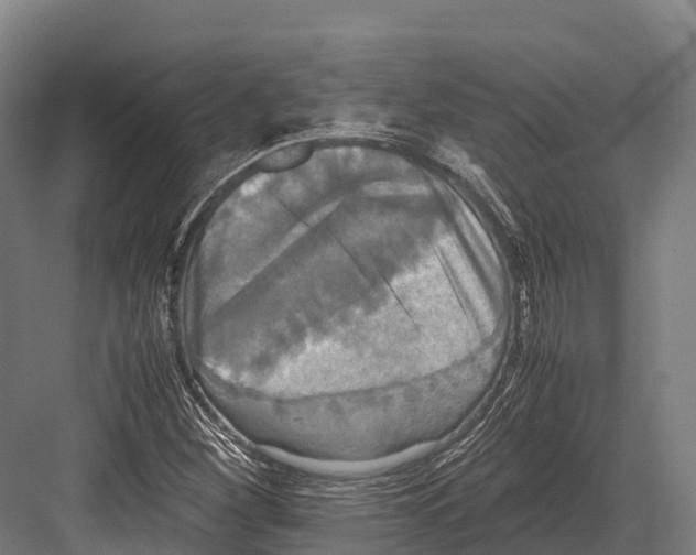 X0000081591260200702121504