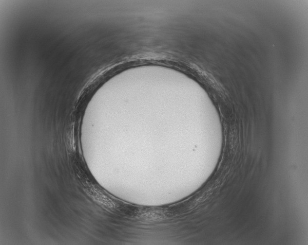 X0000081591262200702121504