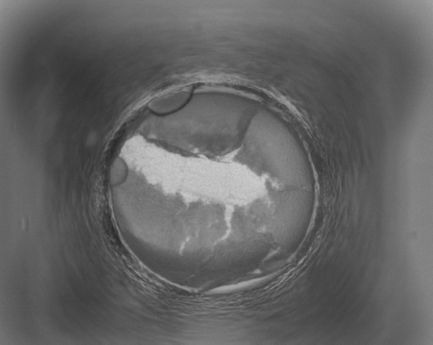 X0000081591263200702121504