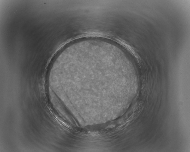 X0000081591264200702121504