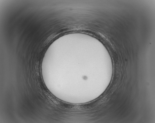 X0000081591265200702121504