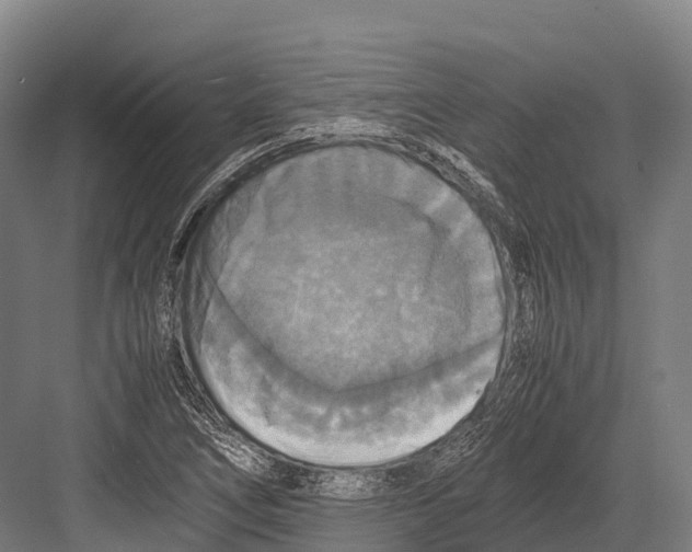 X0000081591266200702121504