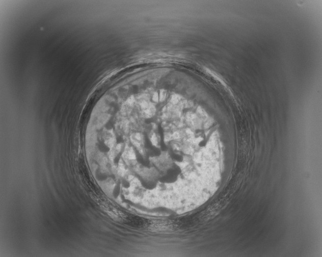 X0000081591267200702121504