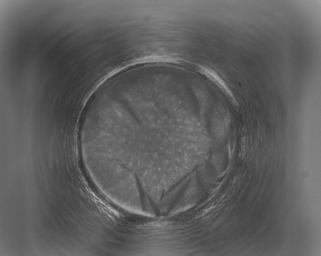 X0000081591268200702121504