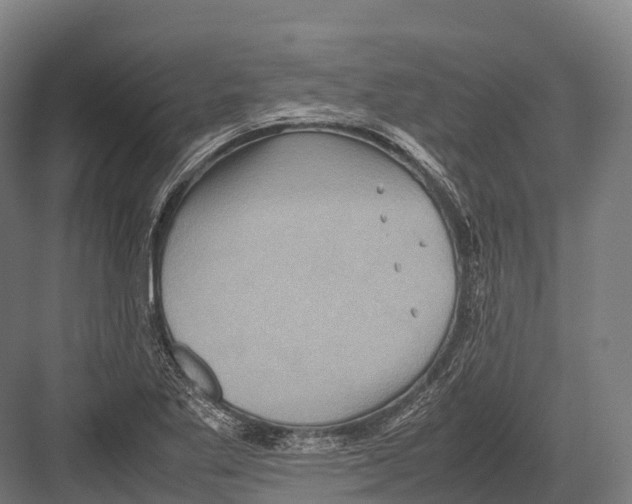 X0000081591269200702121504