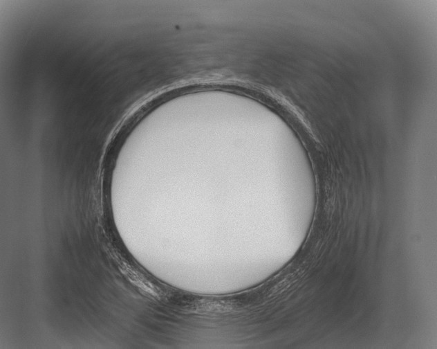 X0000081591270200702121504