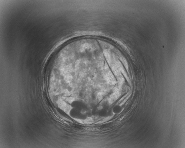 X0000081591271200702121504