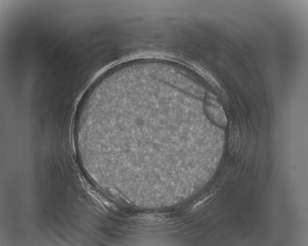 X0000081591272200702121504