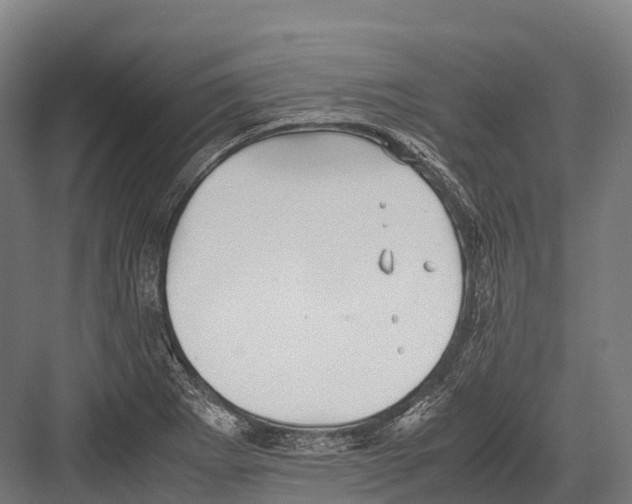 X0000081591273200702121504