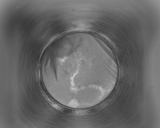 X0000081591274200702121504