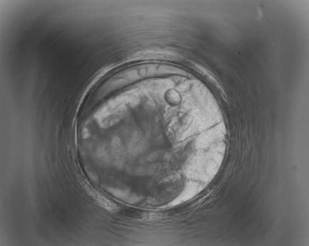 X0000081591275200702121504