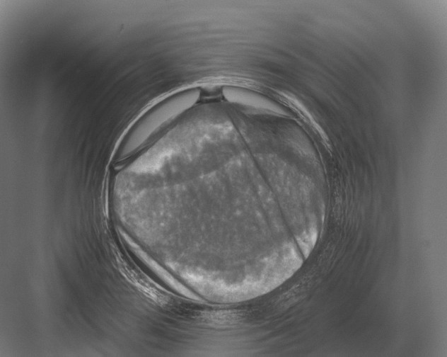 X0000081591276200702121504