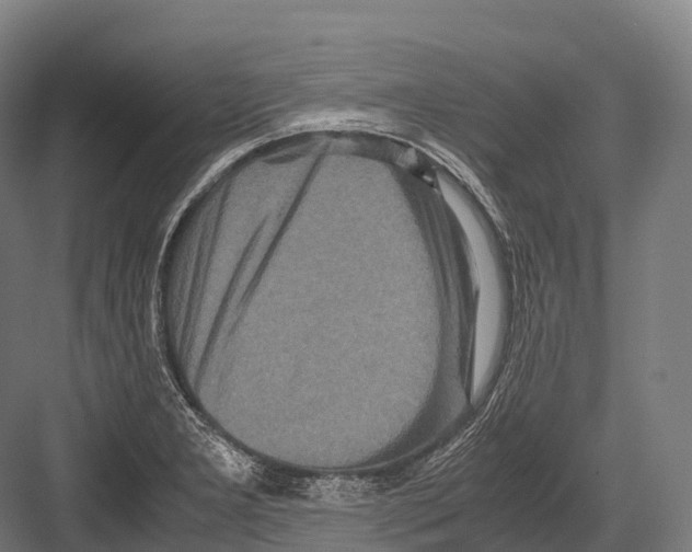 X0000081591277200702121504