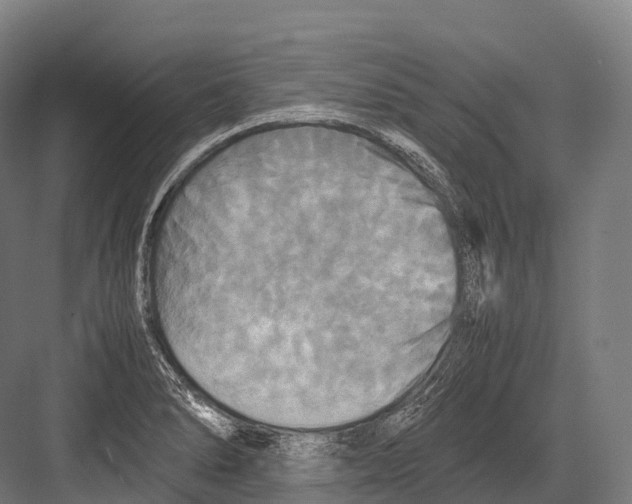 X0000081591278200702121504